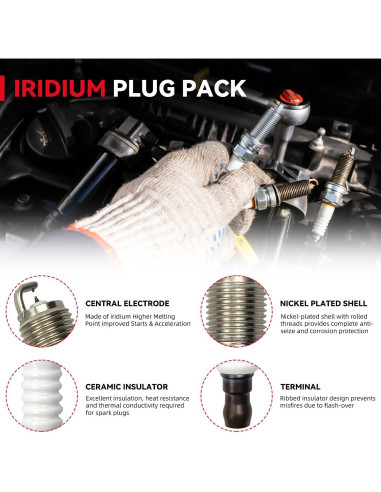 Kit 8 Bobinas de Encendido y Bujías de Iridio PLDDE Audi