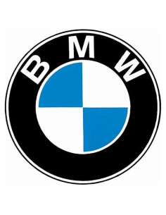 O-ring de riel de combustible BMW OEM 13641437487