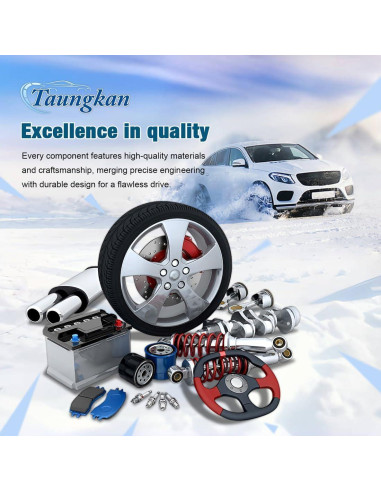 Soporte de Transmisión Manual Izquierdo Taungkan para BMW