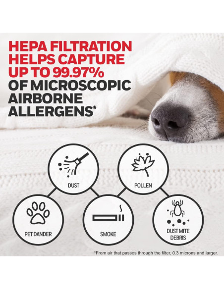 Kit de Filtros HEPA Honeywell HRF-ARVP - 2 Filtros y 1 Pre-Filtro