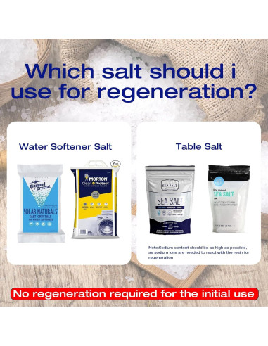 Ablandador de Agua Portátil H&G Estilos de Vida para RV 6.16 kg