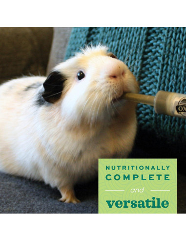 Comida de Emergencia Oxbow Critical Care 100g Papaya