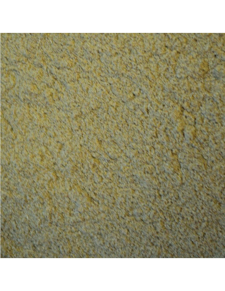 Comida de Emergencia Oxbow Critical Care 100g Papaya