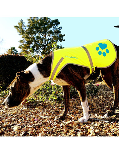 Chaleco Reflectante para Perros SafetyPUP XD Amarillo Pequeño