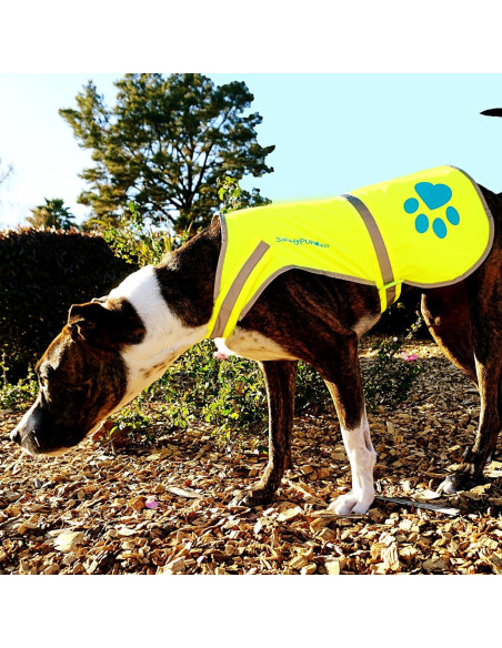 Chaleco Reflectante para Perros SafetyPUP XD Amarillo Pequeño
