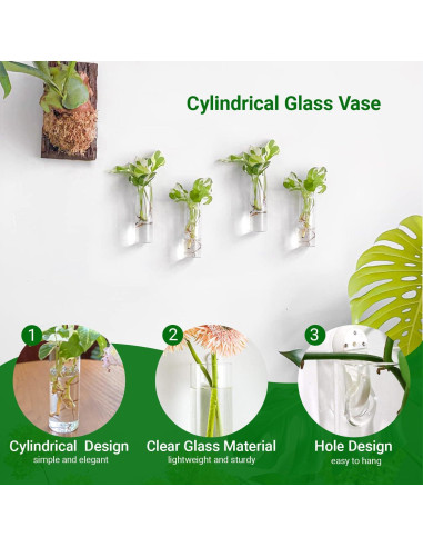 Estación de Propagación de Plantas IVOLADOR - 4 Jarrones de Vidrio