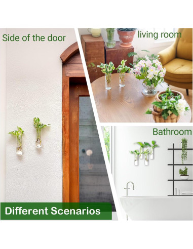 Estación de Propagación de Plantas IVOLADOR - 4 Jarrones de Vidrio