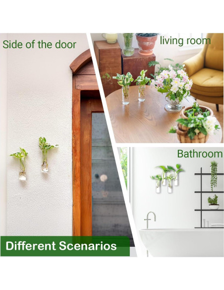 Estación de Propagación de Plantas IVOLADOR - 4 Jarrones de Vidrio