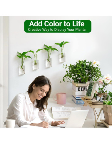 Estación de Propagación de Plantas IVOLADOR - 4 Jarrones de Vidrio