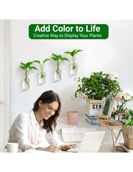 Estación de Propagación de Plantas IVOLADOR - 4 Jarrones de Vidrio