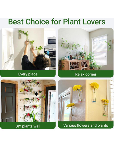 Estación de Propagación de Plantas IVOLADOR - 4 Jarrones de Vidrio