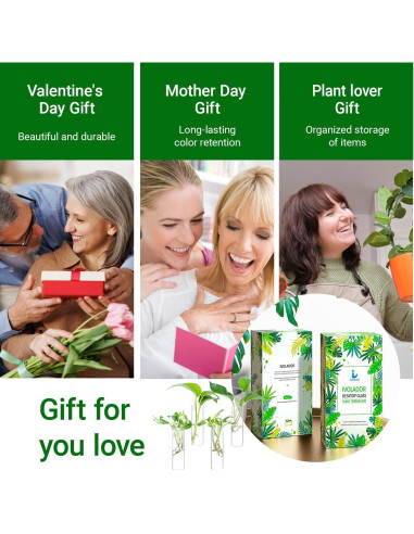 Estación de Propagación de Plantas IVOLADOR - 4 Jarrones de Vidrio