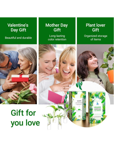 Estación de Propagación de Plantas IVOLADOR - 4 Jarrones de Vidrio