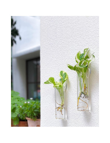 Estación de Propagación de Plantas IVOLADOR - 4 Jarrones de Vidrio