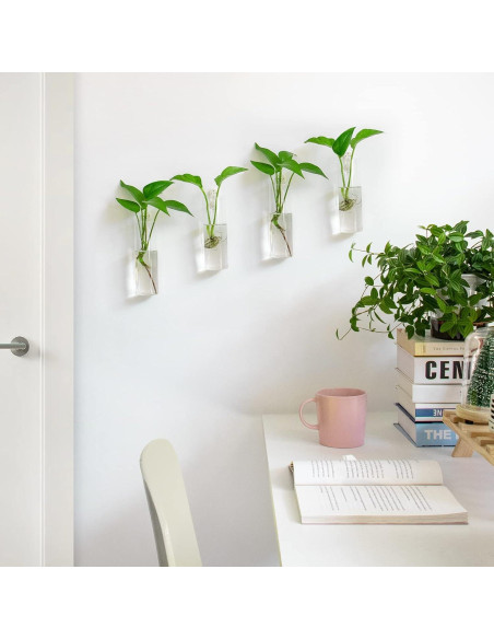 Estación de Propagación de Plantas IVOLADOR - 4 Jarrones de Vidrio