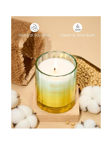 Vela Aromática M&SENSE Melón y Pepino 300g Cera Soja 60h