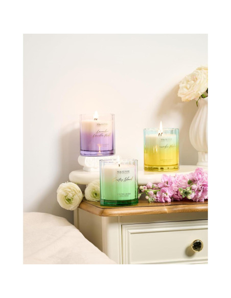 Vela Aromática M&SENSE Melón y Pepino 300g Cera Soja 60h