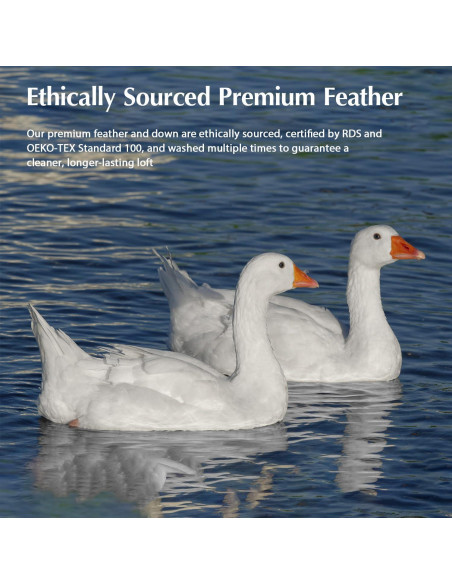 Edredón de Plumas de Ganso Costa del Pacífico Queen 228.6cm