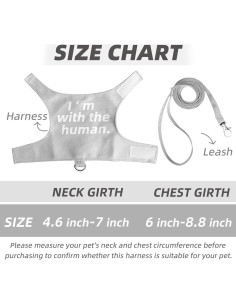 Arnés y Correa Ajustable para Dragón Barbudo Romansk - 1.52 m 2