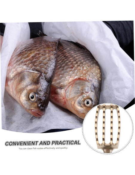 Raspador de Escamas de Pescado Amir - 2 Piezas, Mango de Madera