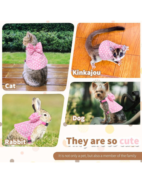 Conjunto Arnés y Correa para Conejos Habbiful Rosa S