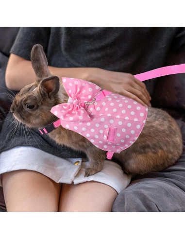 Conjunto Arnés y Correa para Conejos Habbiful Rosa S