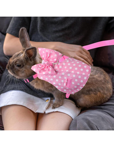 Conjunto Arnés y Correa para Conejos Habbiful Rosa S