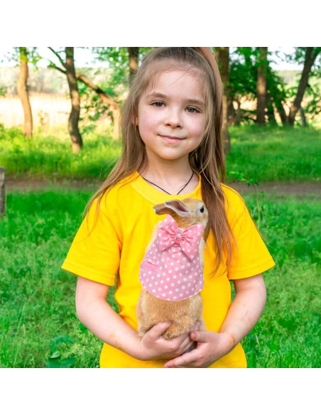 Conjunto Arnés y Correa para Conejos Habbiful Rosa S