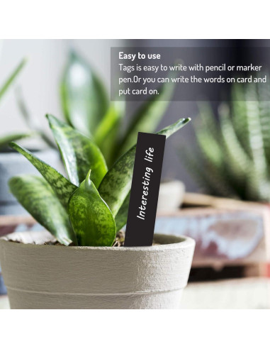 Etiquetas de Plástico para Plantas Whaline 200 Pcs 10x2 cm