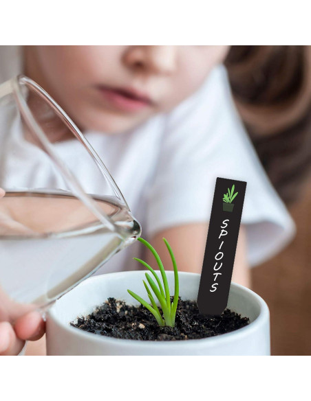 Etiquetas de Plástico para Plantas Whaline 200 Pcs 10x2 cm