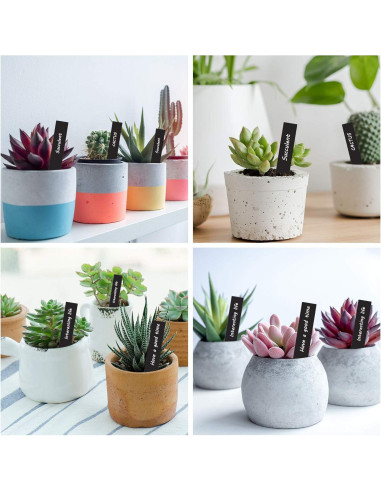 Etiquetas de Plástico para Plantas Whaline 200 Pcs 10x2 cm