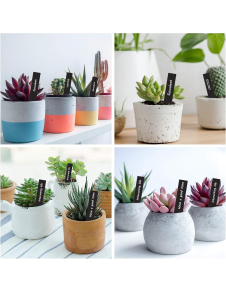 Etiquetas de Plástico para Plantas Whaline 200 Pcs 10x2 cm