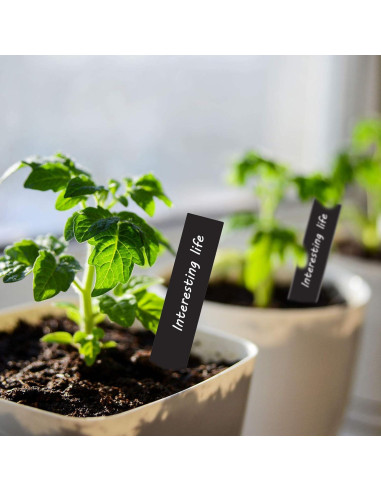 Etiquetas de Plástico para Plantas Whaline 200 Pcs 10x2 cm