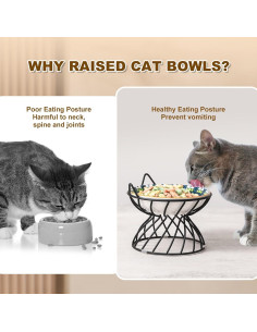 Soporte Elevado para Plato de Gato AHX - Hierro Antideslizante 15x12 cm 2