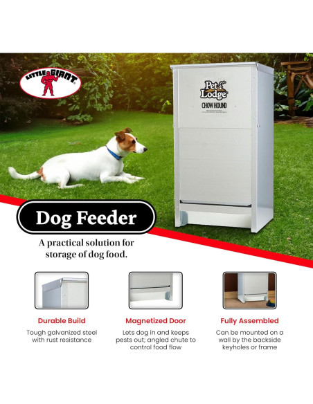 Alimentador Automático para Perros Little Giant Chow Hound 11.34kg