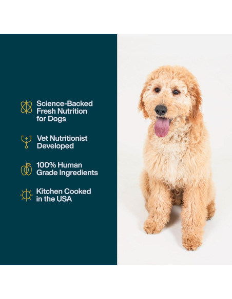 Comida Húmeda para Perros JustFoodForDogs Pollo 340g