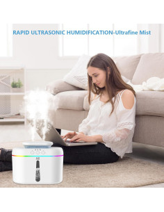 Humidificador de Aire Lisacool WSQ06 2L Niebla Fría Silencioso 2