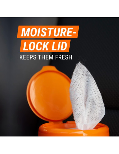 Toallitas de Limpieza Interior Armor All Extreme Shield 25 Unidades