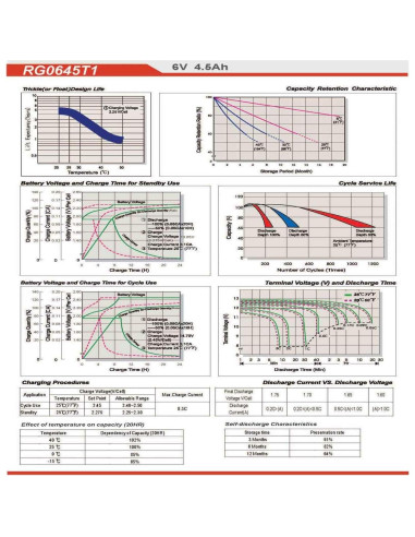 Batería de Emergencia Raion Power RG0645T1 6V 4.5Ah Pack de 2