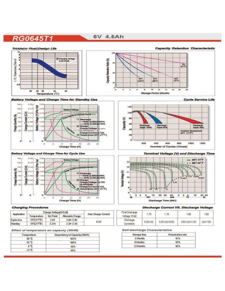 Batería de Emergencia Raion Power RG0645T1 6V 4.5Ah Pack de 2
