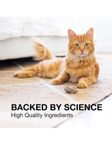 Suplemento Hepático y Cerebral Nutramax Denosyl 30 Tabletas