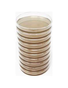 Placas de Agar de Extracto de Malta MEA EZ BioResearch - 10 Unidades