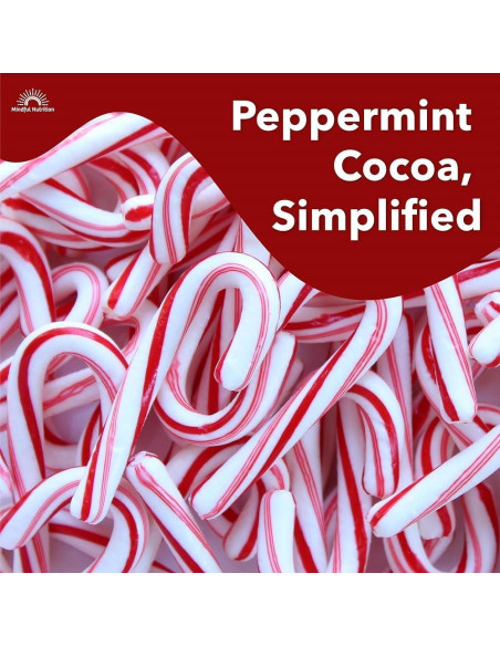 Mezcla de Chocolate Caliente Orgánico Mindful Nutrition 340g