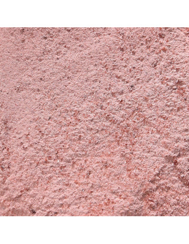 Sal Negra Kala Namak The Spice Lab 0.45 kg Vegana Sin Gluten