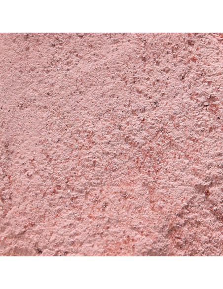 Sal Negra Kala Namak The Spice Lab 0.45 kg Vegana Sin Gluten