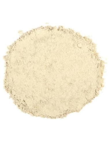 Polvo Orgánico de Raíz de Bardana Florida Herb House 113 g