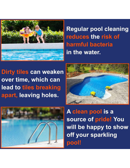 Bloque de Pumice para Piscina Billy Buckskin 0.45 kg