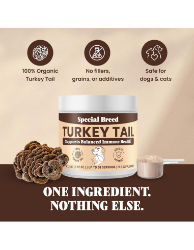 Hongo Cola de Pavo Orgánico Special Breed 60g - Suplemento para Perros y Gatos