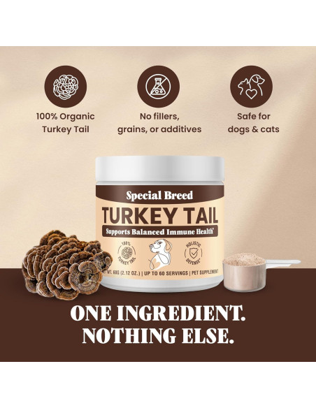 Hongo Cola de Pavo Orgánico Special Breed 60g - Suplemento para Perros y Gatos