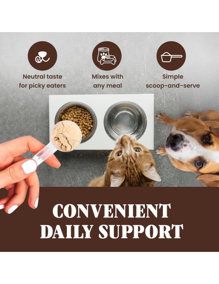 Hongo Cola de Pavo Orgánico Special Breed 60g - Suplemento para Perros y Gatos